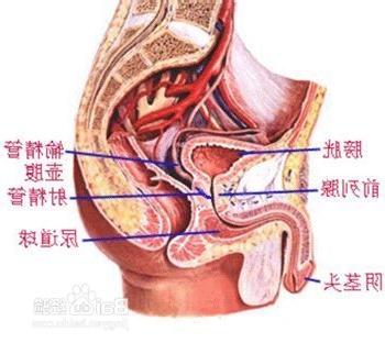 前列腺肥大自我疗法，理解并管理你的健康，前列腺肥大自我疗法，理解并管理健康之路