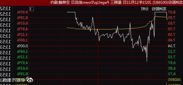 龙洲股份股票行情深度解析，龙洲股份股票行情全面解析